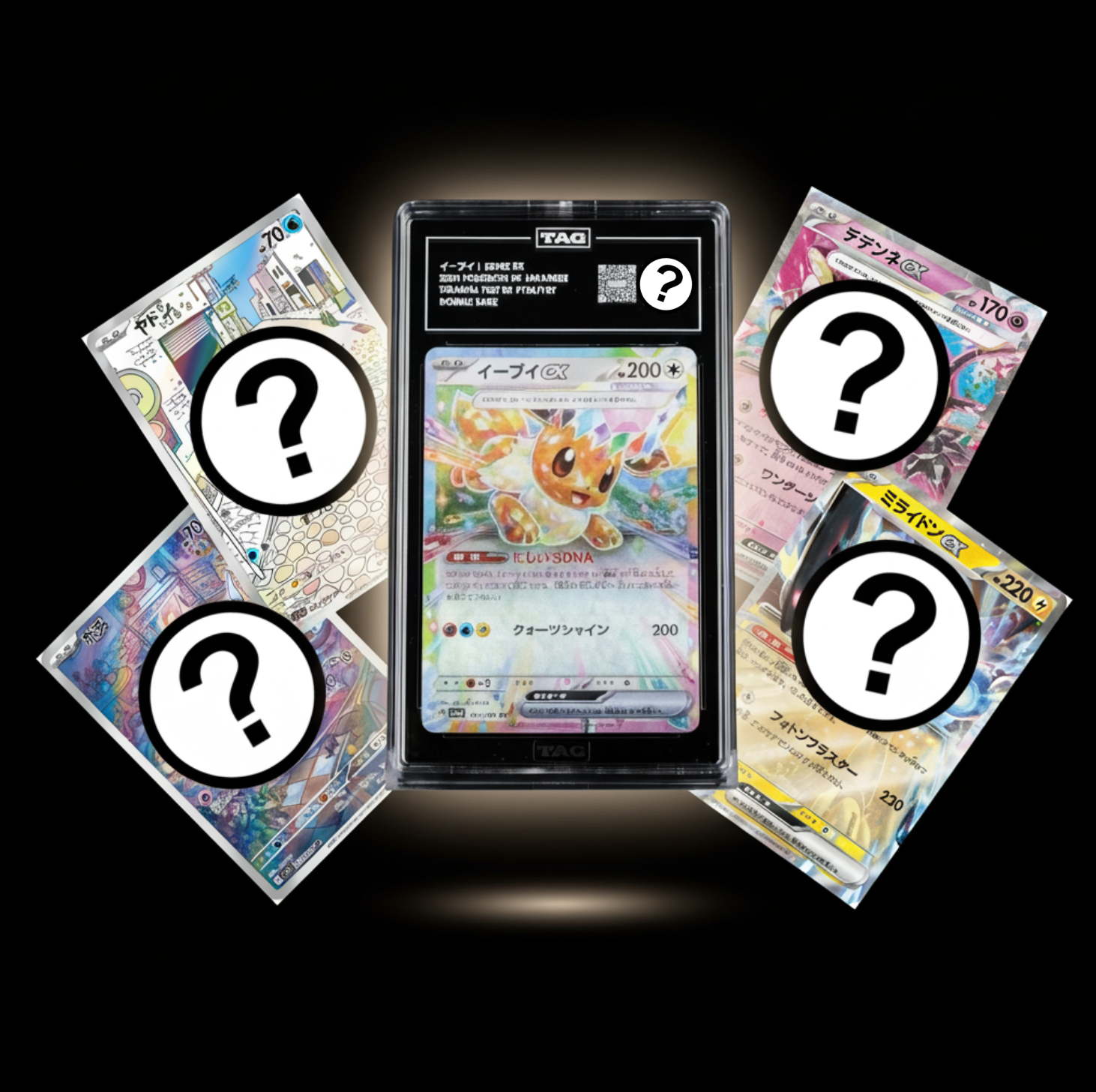 Mystery Collector Japanese Pack